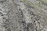 В саратовском селе перестанут бояться похорон в дождливый день