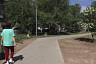 В сквере Энгельса высадили березы и установили лавочки